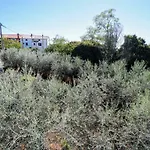Daniela 3*