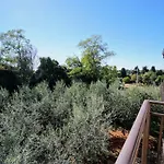 Daniela 3*